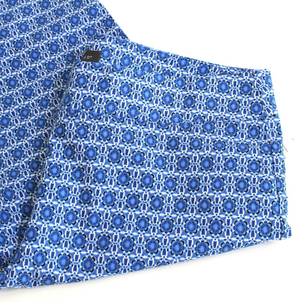 The Limited Blue Patterned Pants - image 3